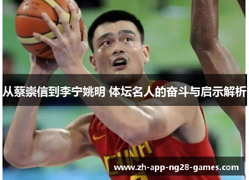 从蔡崇信到李宁姚明 体坛名人的奋斗与启示解析