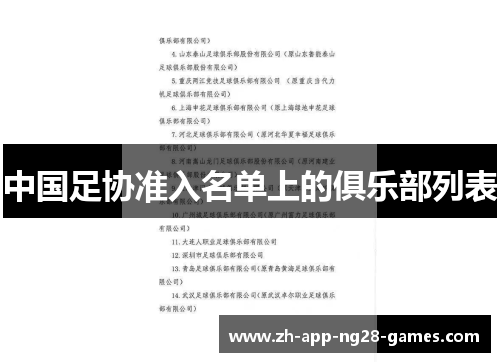 中国足协准入名单上的俱乐部列表