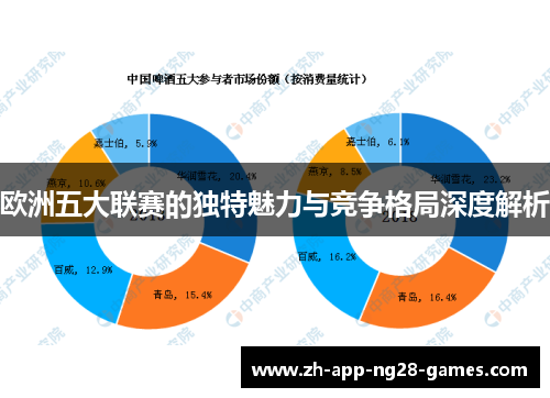 欧洲五大联赛的独特魅力与竞争格局深度解析
