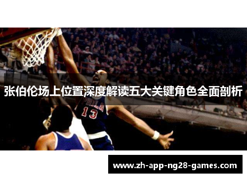 张伯伦场上位置深度解读五大关键角色全面剖析