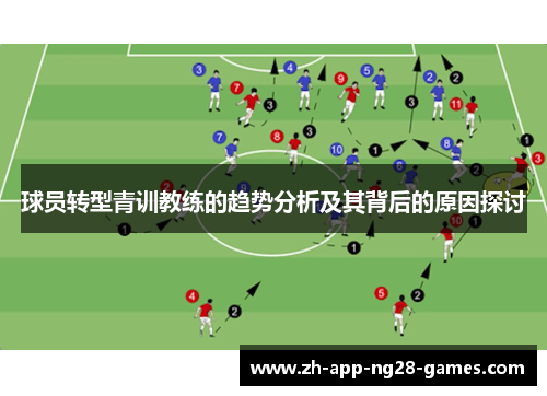 球员转型青训教练的趋势分析及其背后的原因探讨