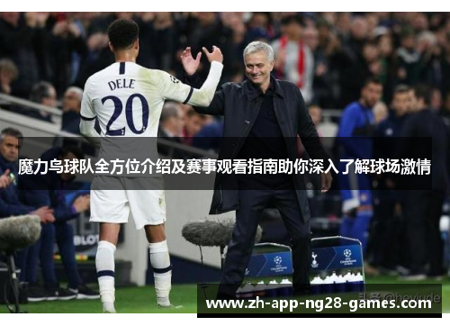 魔力鸟球队全方位介绍及赛事观看指南助你深入了解球场激情