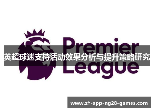 英超球迷支持活动效果分析与提升策略研究