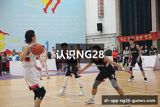 认识NG28
